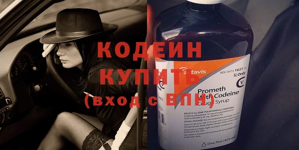 хмурый Арсеньев