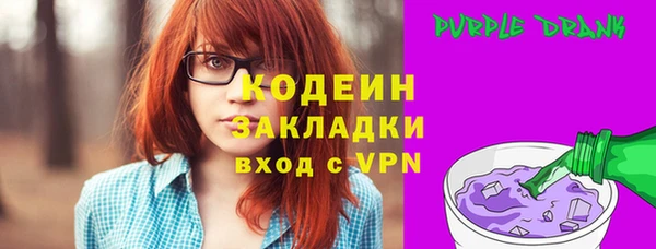 хмурый Арсеньев