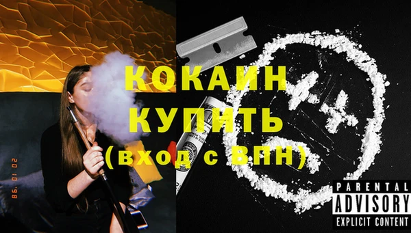 хмурый Арсеньев