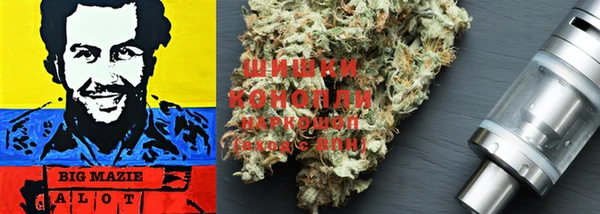 эйфоретик Аркадак