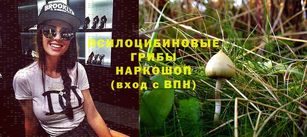хмурый Арсеньев